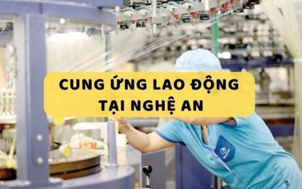 cung-ung-lao-dong-tai-nghe-an