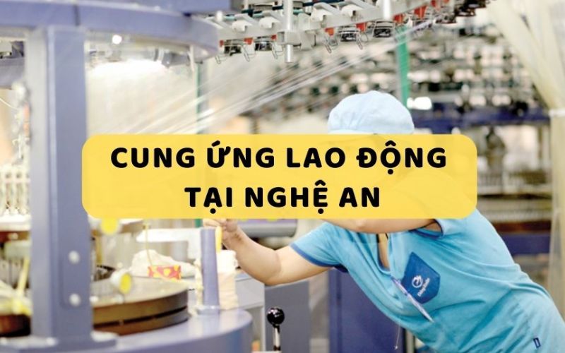 cung-ung-lao-dong-tai-nghe-an