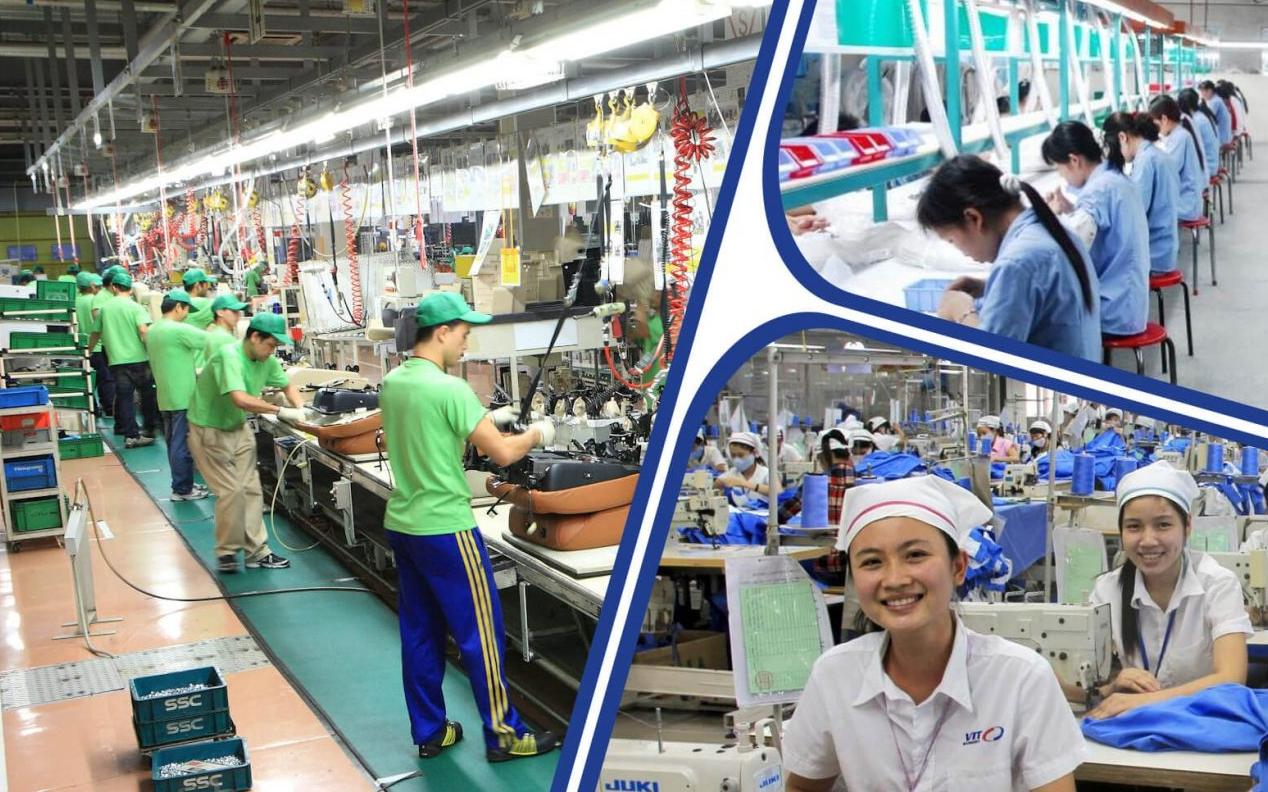 Cung ứng nhân lực Damsan Việt Nam