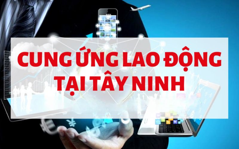 cung ung lao dong tay ninh