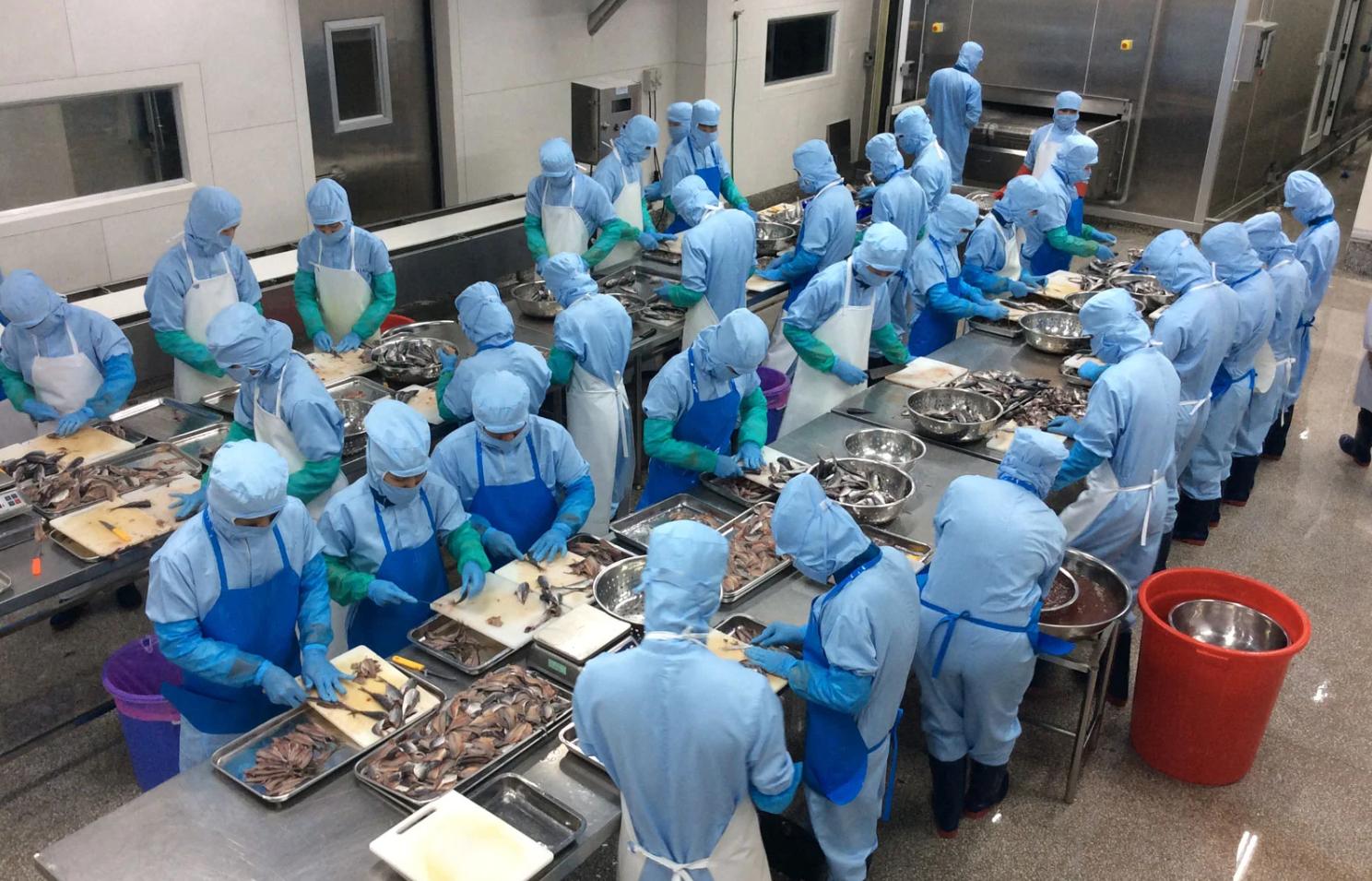 Cho Thuê Lao Động Toàn Cầu cung cấp dịch vụ cung ứng lao động uy tín tại Gia Lai