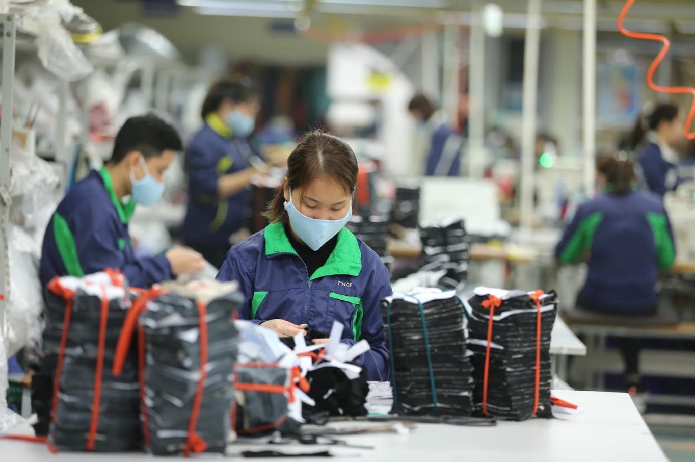 Nhu cầu cung ứng lao động tại An Giang rất cấp thiết vì có sự chênh lệch giữa nhu cầu tuyển dụng và nguồn nhân lực sẵn có