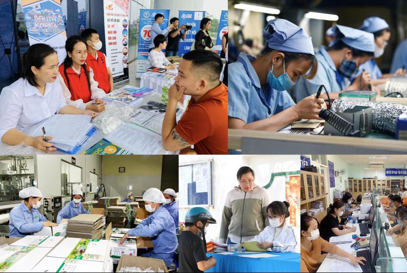 Tổng quan thị trường lao động tỉnh Lai Châu