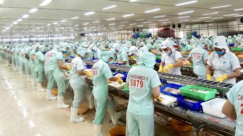 Vai trò của cung ứng lao động trong phát triển kinh tế