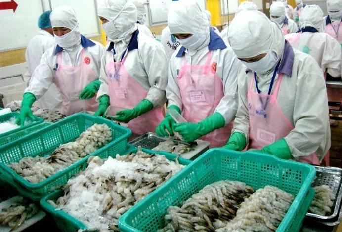 Cho thuê lao động phổ thông