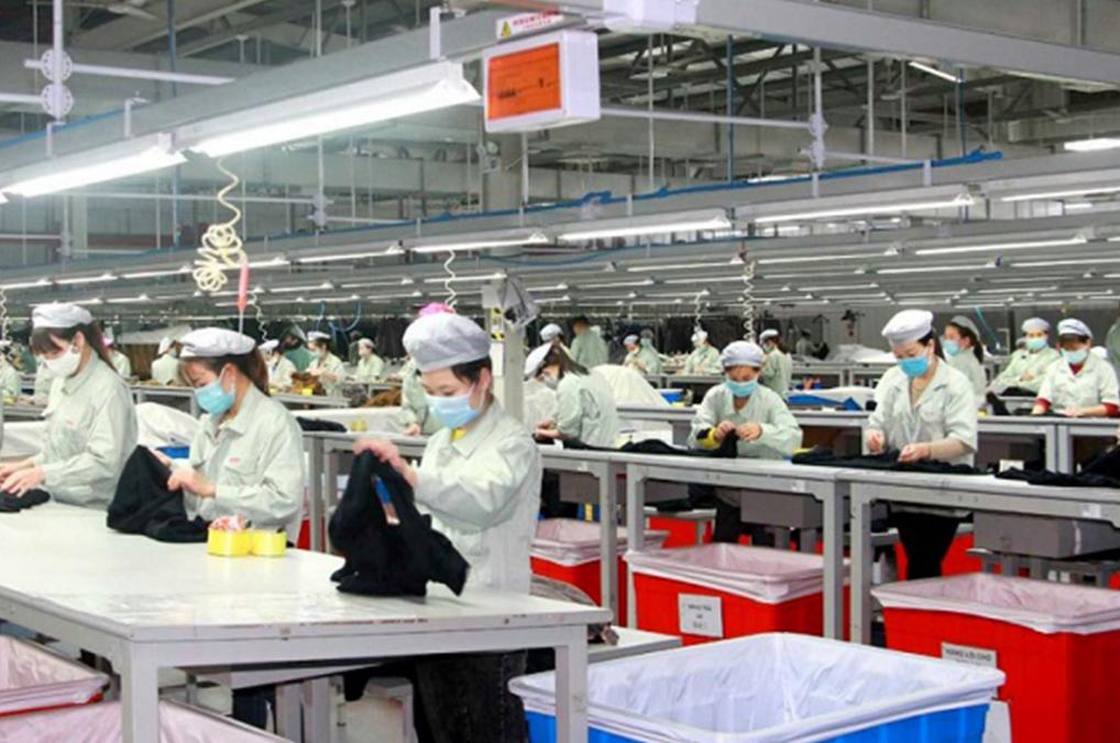 Tổng quan về thị trường lao động tại Quảng Ninh