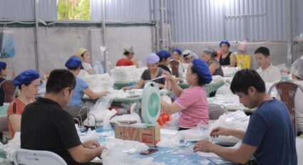 cung ung lao dong hoa binh