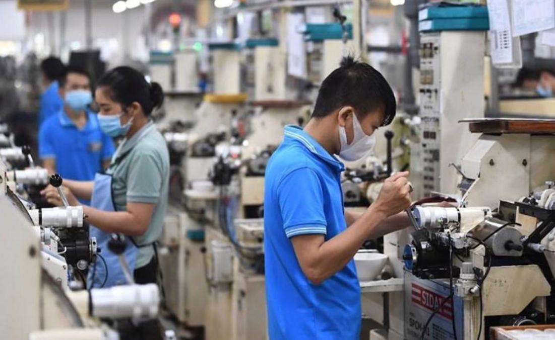 Cho Thuê Lao Động Toàn Cầu cung cấp đa dạng dịch vụ cung ứng lao động