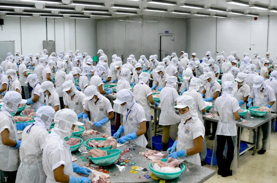Công ty TNHH TMDV Lao Động Thời Đại
