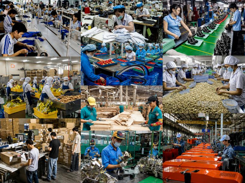 Toàn Cầu cho thuê lao động ở đa dạng lĩnh vực