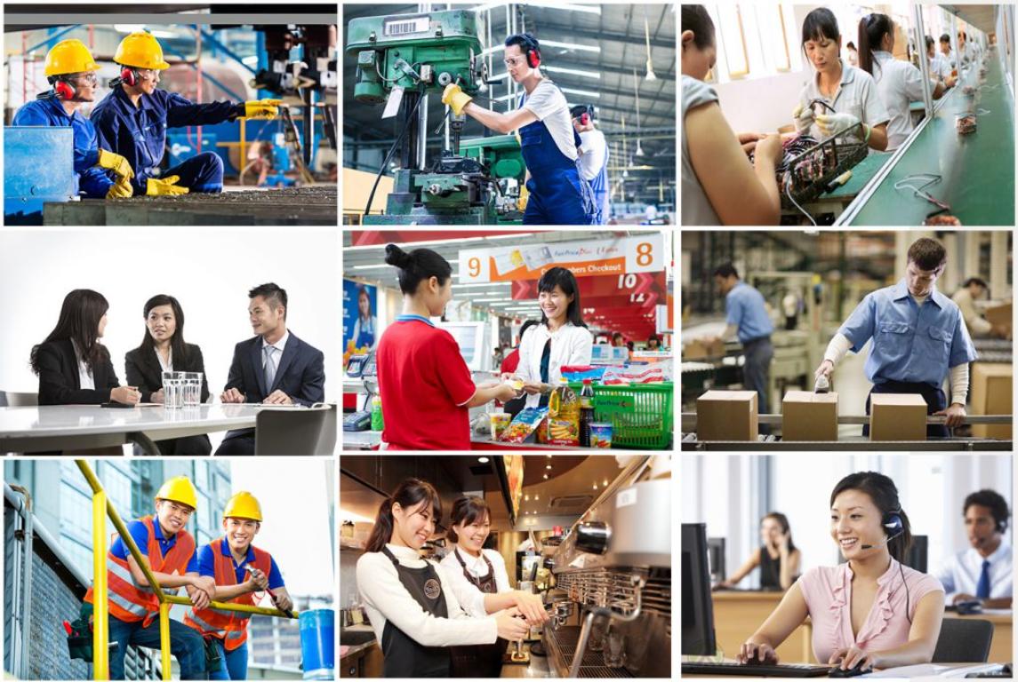 Cho Thuê Lao Động Toàn cung ứng đa dạng các loại hình lao động